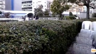 [中文字幕]做家务的奖励是随便揉姐姐的巨乳
